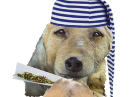 :chiendodo_joint: