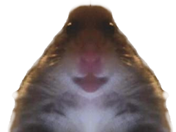 :Hampter_face:
