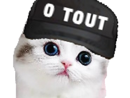 :chat0tout: