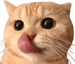 :chatslurp2: