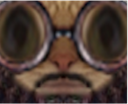 :Chat_imam_zoom: