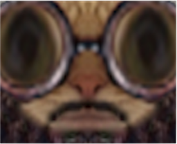 :Chat_imam_zoom:
