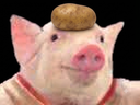 :CochonPatate:
