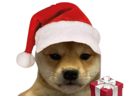 :ChienNoel: