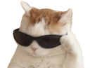 :chat_sunglasses: