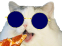 :pizzacat2: