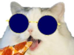:pizzacat2:
