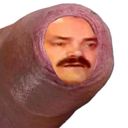 Prepuce