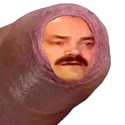 Prepuce