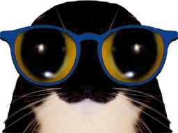 :chat_lunettes_2:
