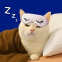 :chatreveilmask: