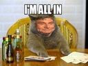 :Allin: