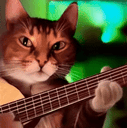 :chatzoomguitare: