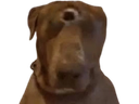 :teddicyclope2: