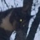 :demonchat:
