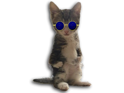 :chaton_redpill: