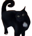 :WHUT: