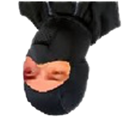 :ninja4: