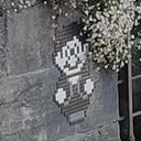 ThePixelSpectat