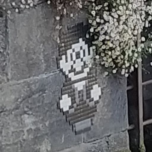 ThePixelSpectat