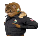 :Canada_chatkiwi: