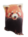 :Panda_roux: