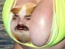 :Hamstazizir: