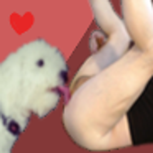 Chien2fion
