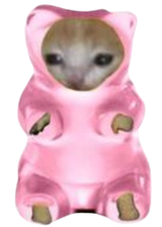 :gummy_bear_cat: