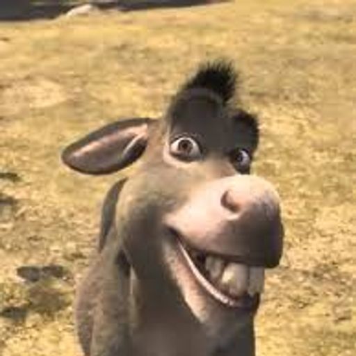 Idiot_Honnete