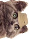 :ChatbobD: