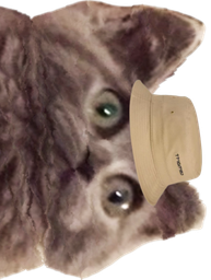 :ChatbobD: