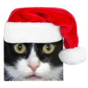 :chat_surpris_noel_regard_percant: