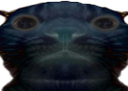 :darkchak: