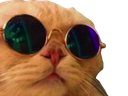 :chat_cool: