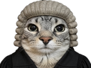 :Chapristie: