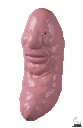:Bitte: