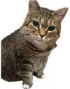 :Ethel2: