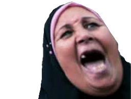 :musulmane: