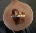 :sonion: