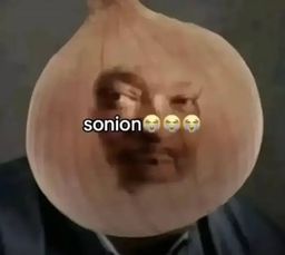 :sonion:
