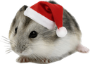 :hamster2noel: