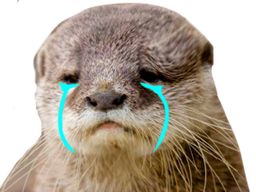 :loutre_triste: