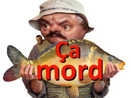 :ca_mord_: