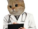 :sodium_docteur:
