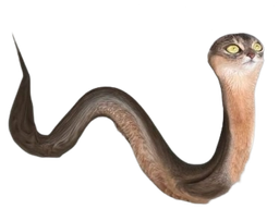 :Chat-Serpent: