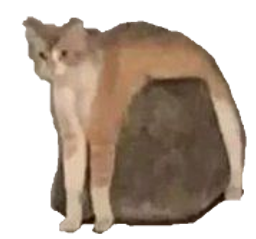 :chatpierre: