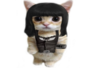 :ChatJane: