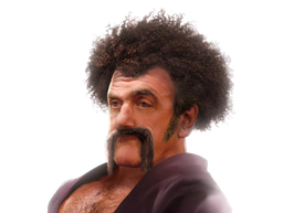 :Hercule_Prolo: