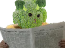 :brocoli_journal: